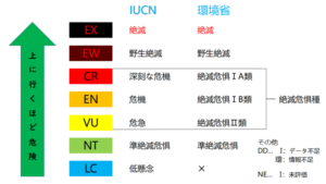 IUCN絶滅危惧カテゴリ